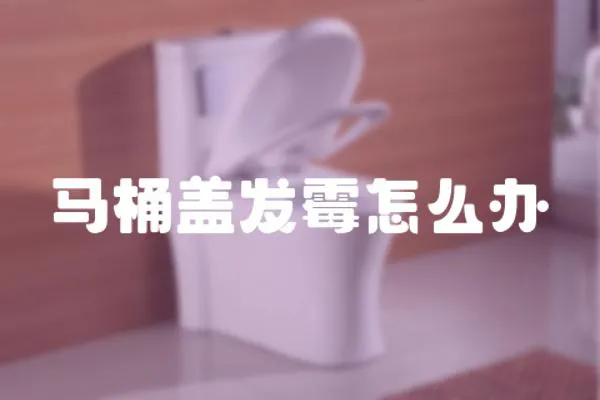 馬桶蓋發(fā)霉怎么辦