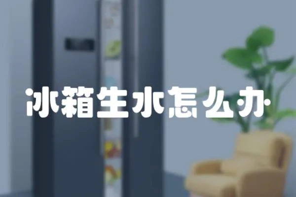 冰箱生水怎么辦