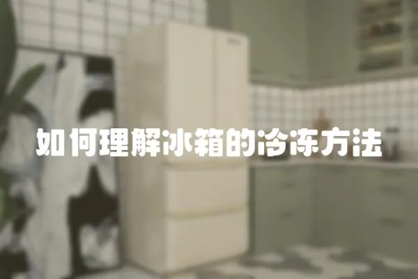 如何理解冰箱的冷凍方法