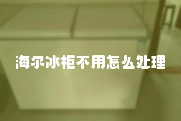海爾冰柜不用怎么處理