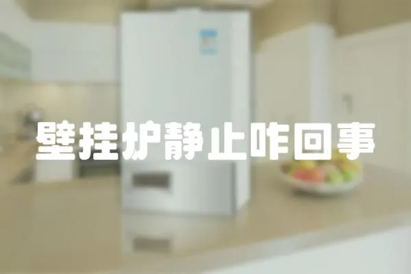 壁掛爐靜止咋回事