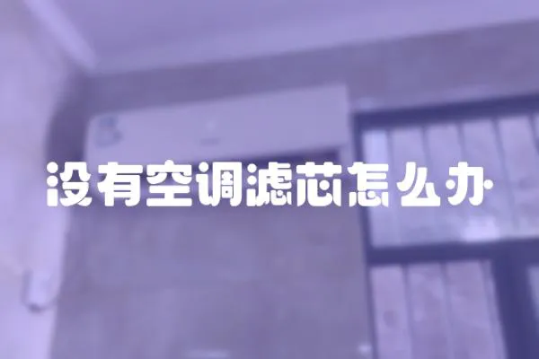 沒(méi)有空調(diào)濾芯怎么辦