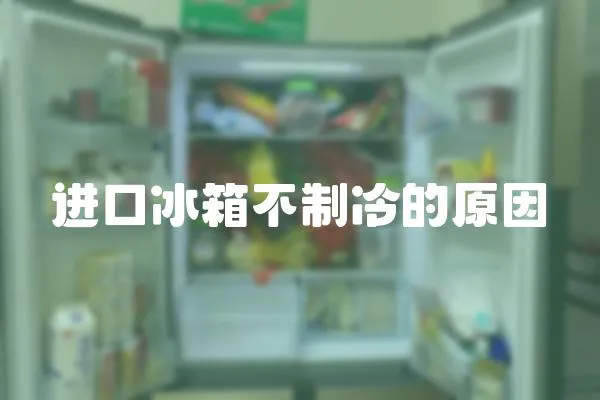 進(jìn)口冰箱不制冷的原因