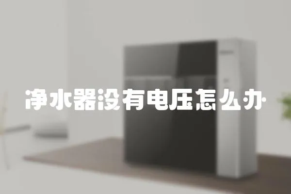 凈水器沒有電壓怎么辦