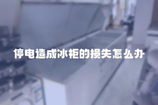 停電造成冰柜的損失怎么辦