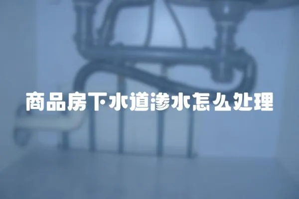 商品房下水道滲水怎么處理