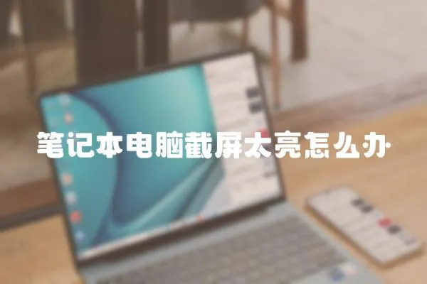 筆記本電腦截屏太亮怎么辦