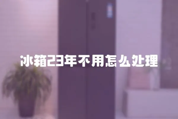 冰箱23年不用怎么處理