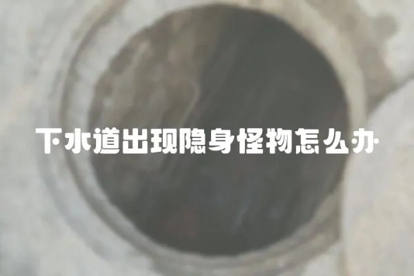 下水道出現(xiàn)隱身怪物怎么辦