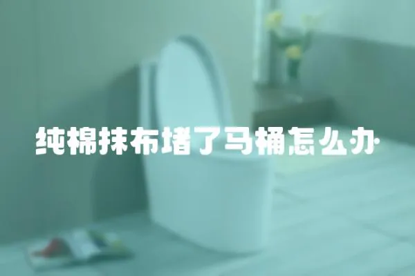 純棉抹布堵了馬桶怎么辦