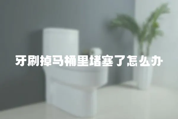 牙刷掉馬桶里堵塞了怎么辦