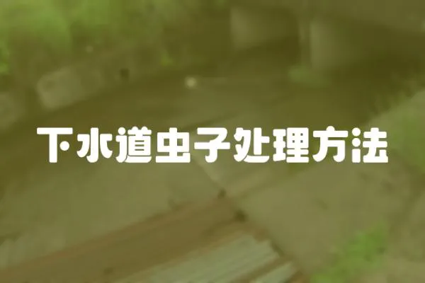 下水道蟲子處理方法