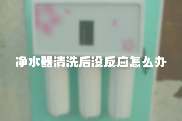凈水器清洗后沒反應怎么辦