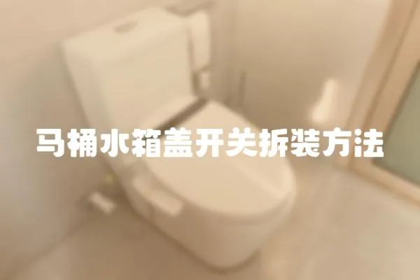 馬桶水箱蓋開關拆裝方法