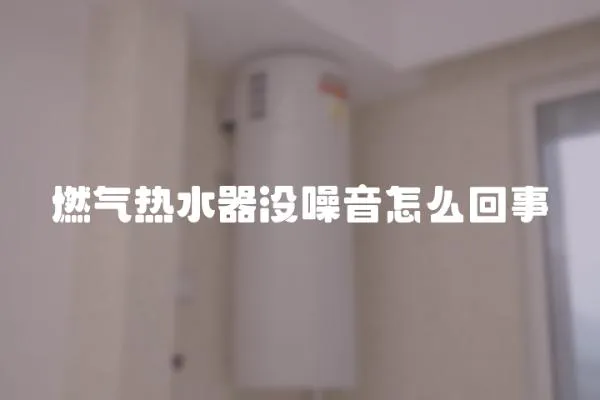燃氣熱水器沒噪音怎么回事
