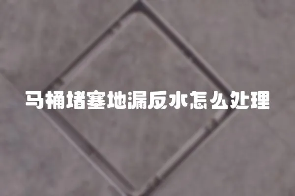 馬桶堵塞地漏反水怎么處理