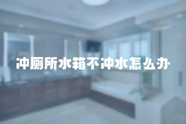 沖廁所水箱不沖水怎么辦