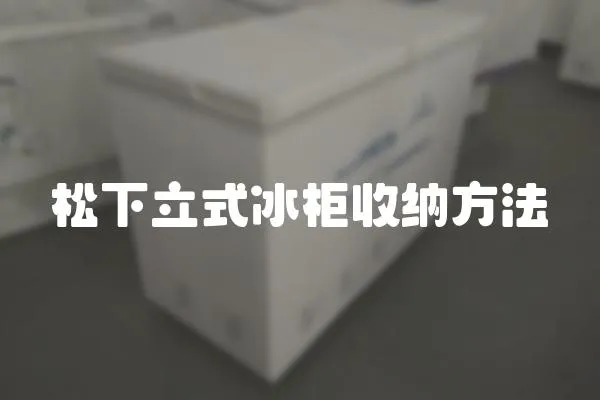 松下立式冰柜收納方法