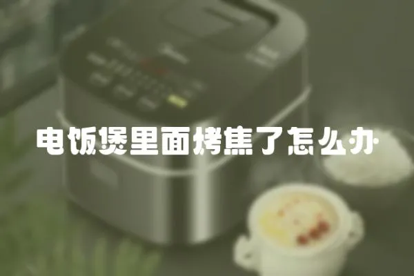 電飯煲里面烤焦了怎么辦
