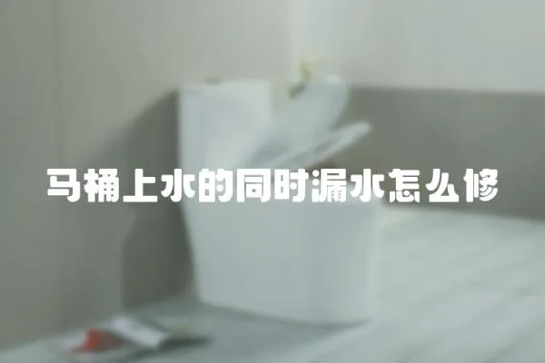 馬桶上水的同時漏水怎么修