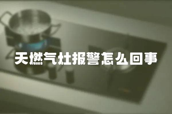 天燃?xì)庠顖?bào)警怎么回事