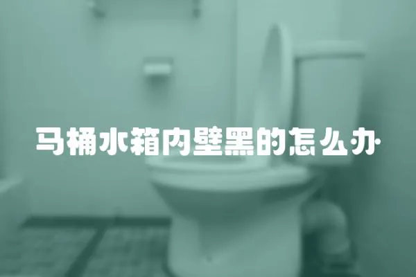 马桶水箱内壁黑的怎么办