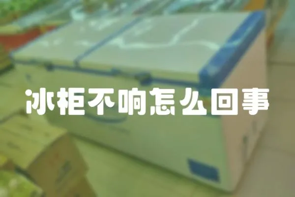 冰柜不響怎么回事