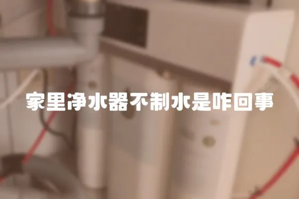 家里凈水器不制水是咋回事