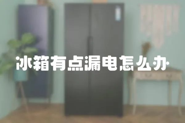 冰箱有點漏電怎么辦