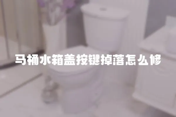馬桶水箱蓋按鍵掉落怎么修