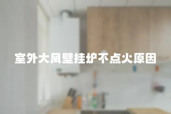 室外大風壁掛爐不點火原因