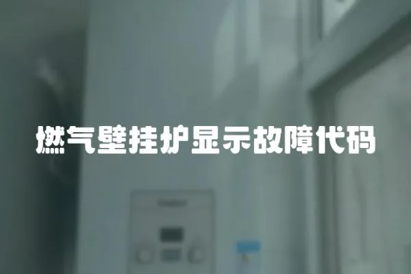 燃?xì)獗趻鞝t顯示故障代碼