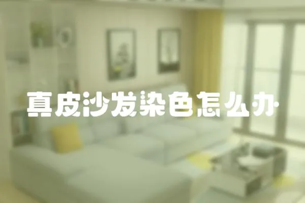 真皮沙發染色怎么辦