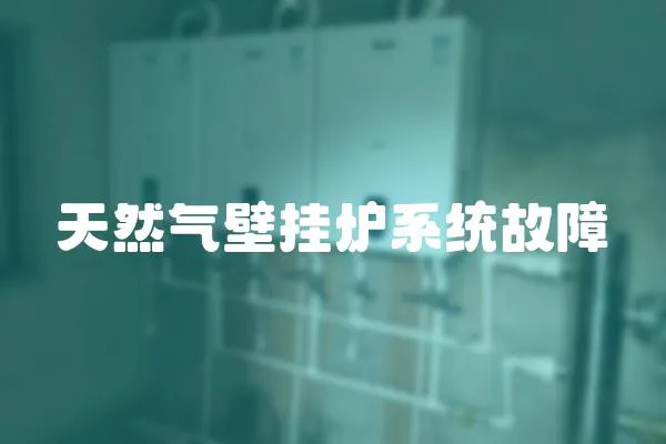 天然氣壁掛爐系統故障