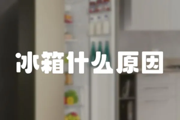 冰箱什么原因