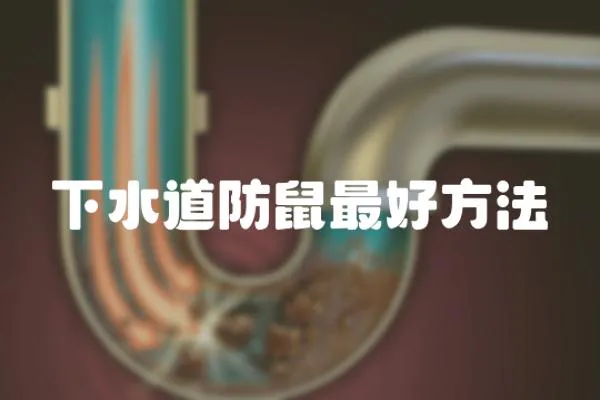 下水道防鼠最好方法