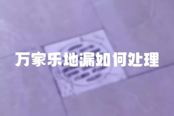 萬家樂地漏如何處理