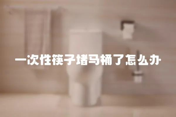 一次性筷子堵馬桶了怎么辦