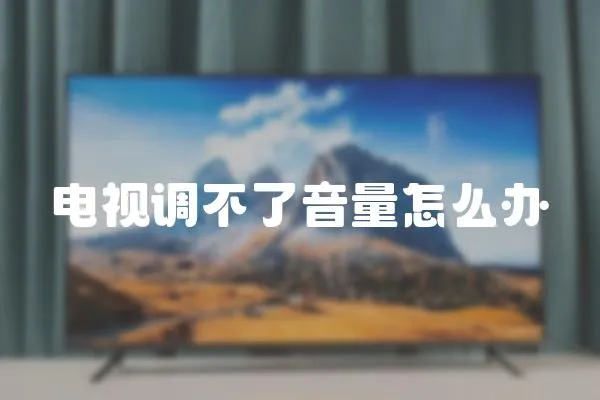 電視調(diào)不了音量怎么辦
