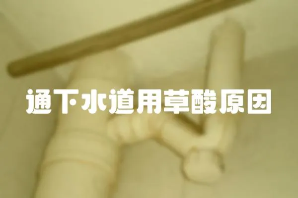 通下水道用草酸原因