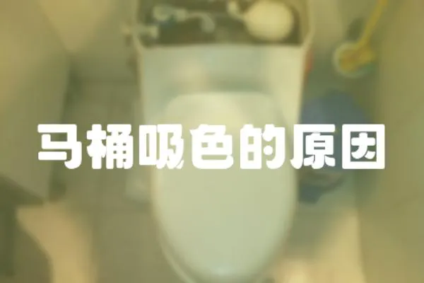 馬桶吸色的原因