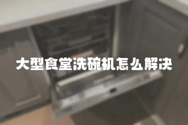 大型食堂洗碗機怎么解決