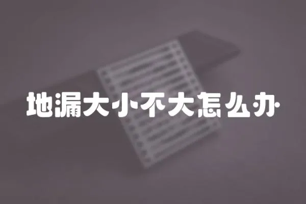 地漏大小不大怎么辦