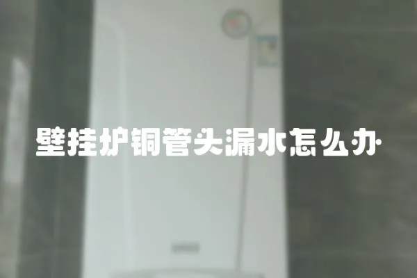 壁掛爐銅管頭漏水怎么辦
