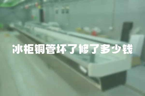 冰柜銅管壞了修了多少錢