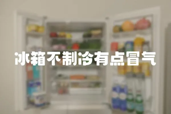 冰箱不制冷有點冒氣