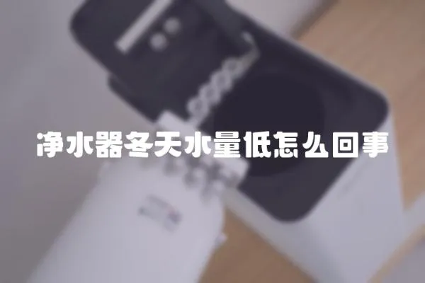 凈水器冬天水量低怎么回事