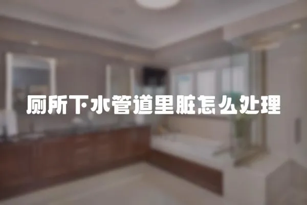 廁所下水管道里臟怎么處理