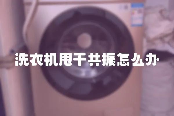 洗衣機甩干共振怎么辦