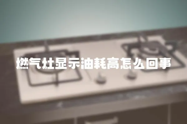 燃?xì)庠铒@示油耗高怎么回事